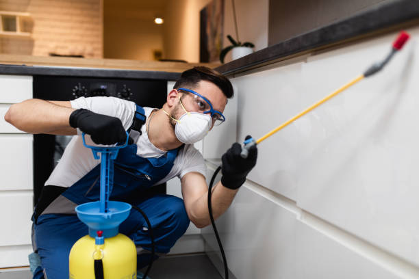 Best Flea Control Services  in King Cove, AK