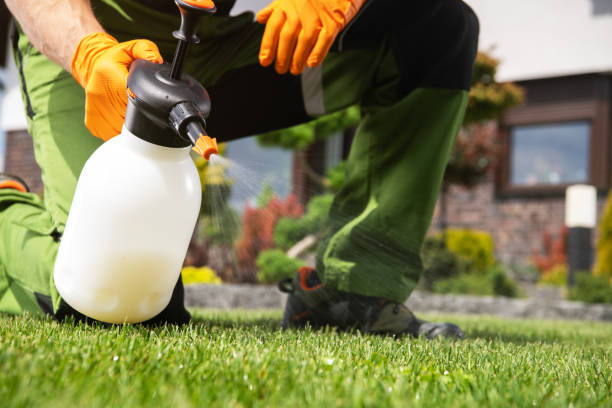Professional Pest Control in King Cove, AK