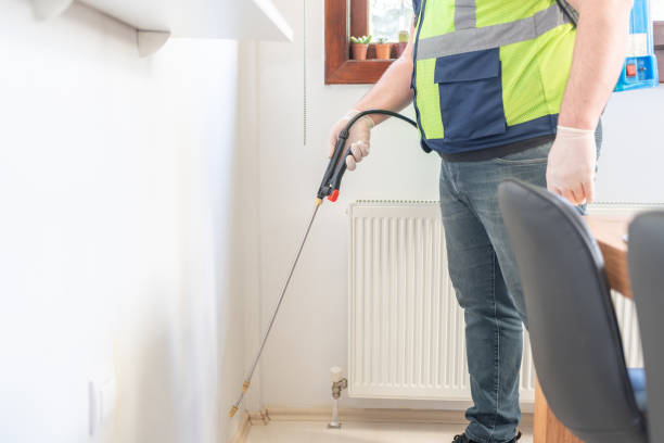 Flea Control Services in King Cove, AK