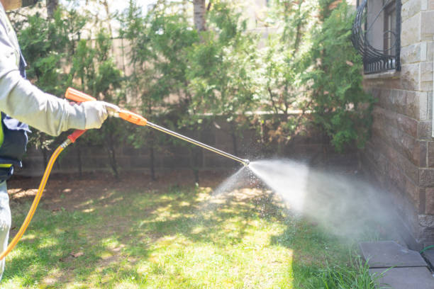 Best Insect Control  in King Cove, AK