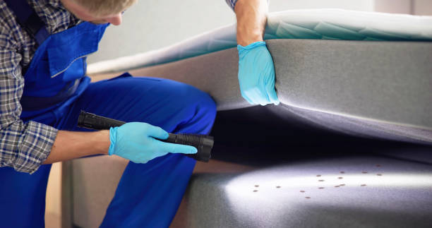 Best Affordable Pest Control Services  in King Cove, AK
