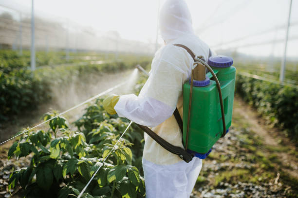 Best Cockroach Control Services  in King Cove, AK